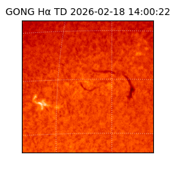 gong - 2026-02-18T14:00:22