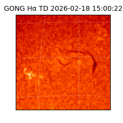 gong - 2026-02-18T15:00:22