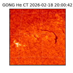 gong - 2026-02-18T20:00:42