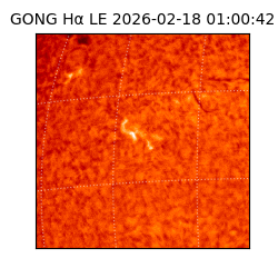 gong - 2026-02-18T01:00:42