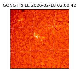 gong - 2026-02-18T02:00:42