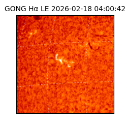 gong - 2026-02-18T04:00:42