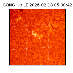 gong - 2026-02-18T05:00:42