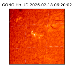 gong - 2026-02-18T06:20:02