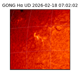 gong - 2026-02-18T07:02:02