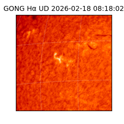 gong - 2026-02-18T08:18:02