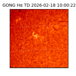 gong - 2026-02-18T10:00:22