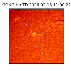 gong - 2026-02-18T11:00:22