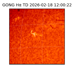 gong - 2026-02-18T12:00:22