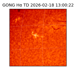 gong - 2026-02-18T13:00:22