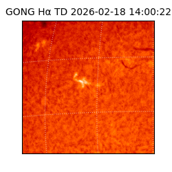 gong - 2026-02-18T14:00:22