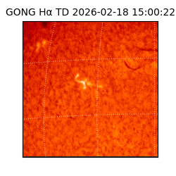 gong - 2026-02-18T15:00:22