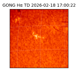 gong - 2026-02-18T17:00:22
