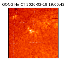 gong - 2026-02-18T19:00:42