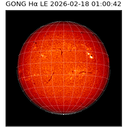 gong - 2026-02-18T01:00:42