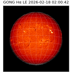 gong - 2026-02-18T02:00:42