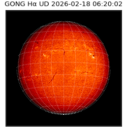 gong - 2026-02-18T06:20:02