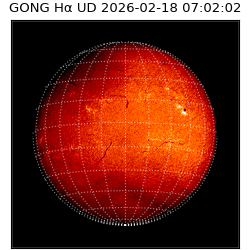 gong - 2026-02-18T07:02:02