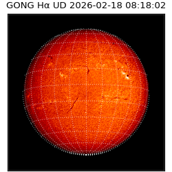 gong - 2026-02-18T08:18:02