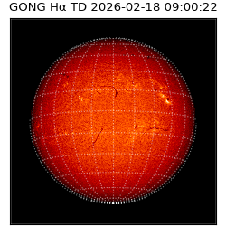gong - 2026-02-18T09:00:22
