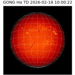gong - 2026-02-18T10:00:22