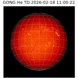 gong - 2026-02-18T11:00:22