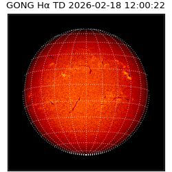 gong - 2026-02-18T12:00:22