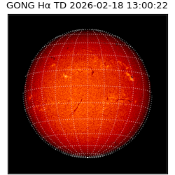 gong - 2026-02-18T13:00:22