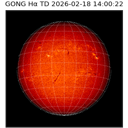 gong - 2026-02-18T14:00:22