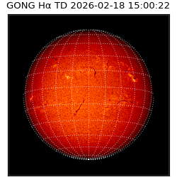 gong - 2026-02-18T15:00:22