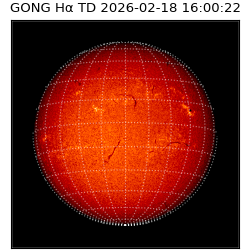 gong - 2026-02-18T16:00:22
