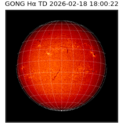 gong - 2026-02-18T18:00:22