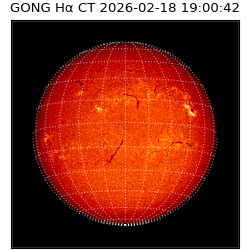 gong - 2026-02-18T19:00:42