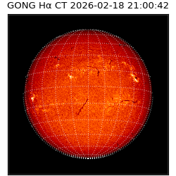 gong - 2026-02-18T21:00:42