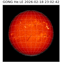 gong - 2026-02-18T23:02:42