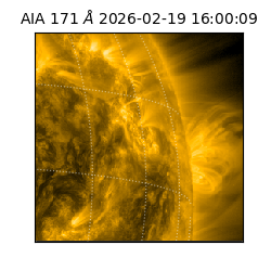 saia - 2026-02-19T16:00:09.353000