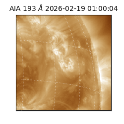 saia - 2026-02-19T01:00:04.843000