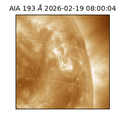 saia - 2026-02-19T08:00:04.842000