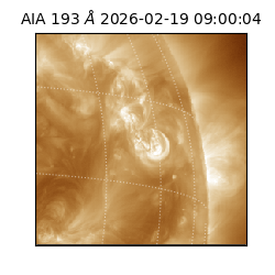 saia - 2026-02-19T09:00:04.843000