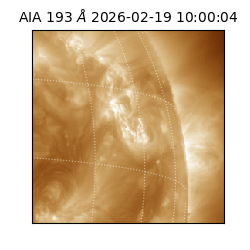 saia - 2026-02-19T10:00:04.843000