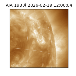 saia - 2026-02-19T12:00:04.835000