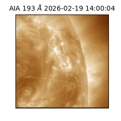 saia - 2026-02-19T14:00:04.843000