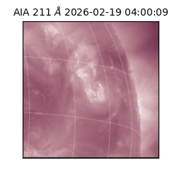 saia - 2026-02-19T04:00:09.625000