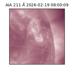 saia - 2026-02-19T08:00:09.632000