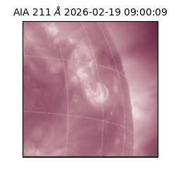 saia - 2026-02-19T09:00:09.632000