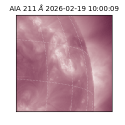 saia - 2026-02-19T10:00:09.632000