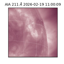 saia - 2026-02-19T11:00:09.633000