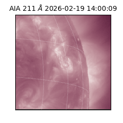 saia - 2026-02-19T14:00:09.634000