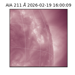 saia - 2026-02-19T16:00:09.630000