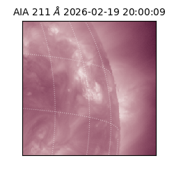 saia - 2026-02-19T20:00:09.631000